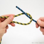 thiefknot01