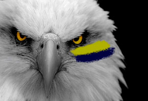 Post image for Help Raise Awareness for LifeQuest and the Invisible Wounds of War