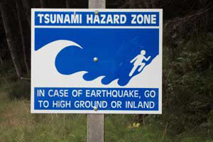 Post image for Public Service Announcement: Tsunami and Preparedness
