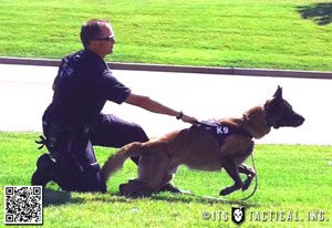 Post image for Elite K-9 Tactical Patrol Harness: Handling your Land Shark