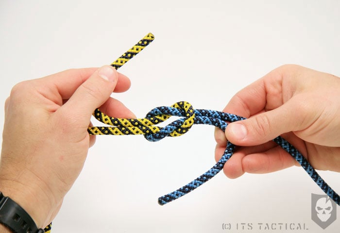 Thief Knot