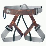 Harness