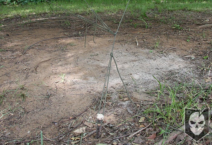 Tarp Shelter