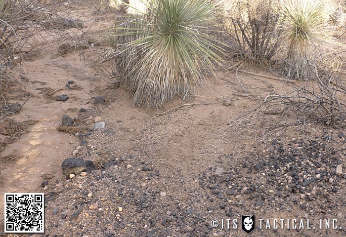 Tracking a Trail