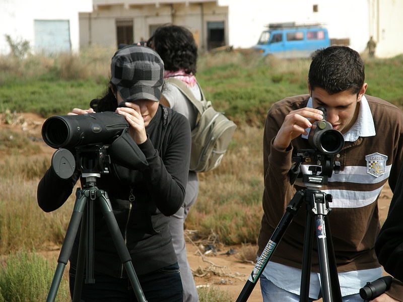 Observation-Nador