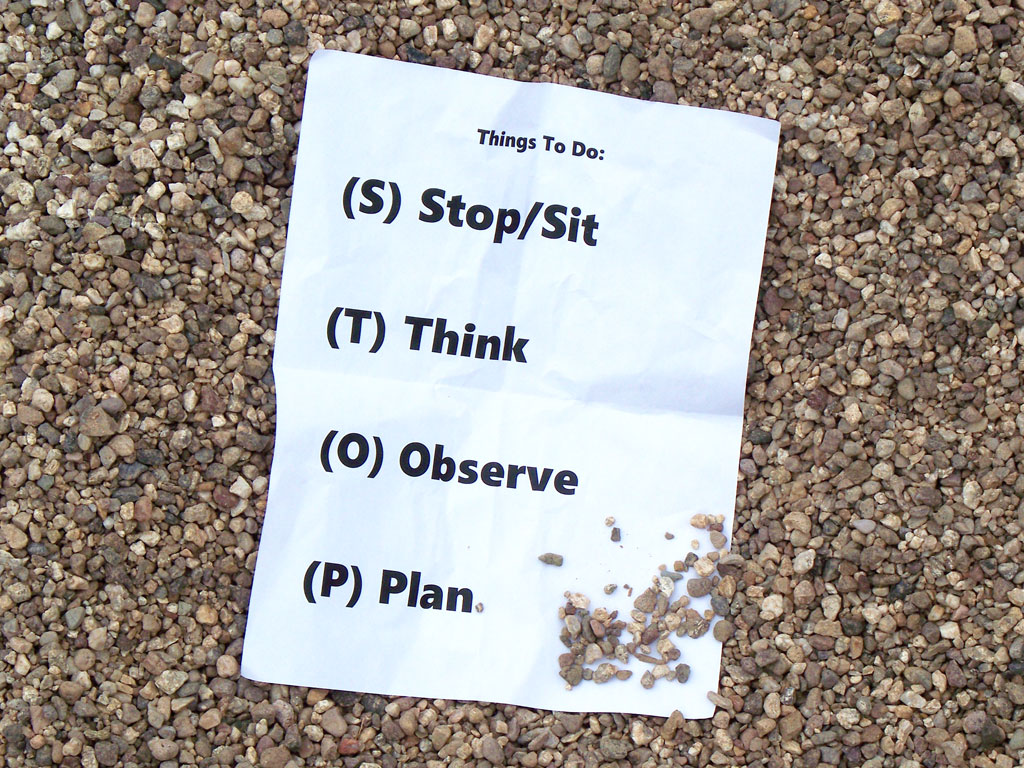 Stop Sit Think Observe Plan