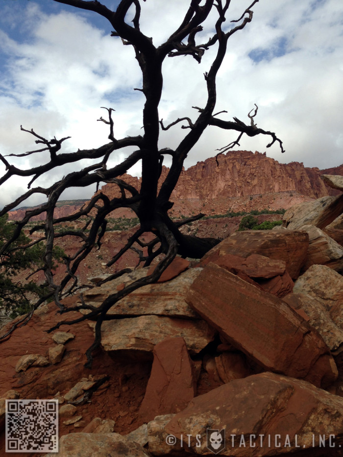 Arc'teryx / NEMO Redrock Adventure