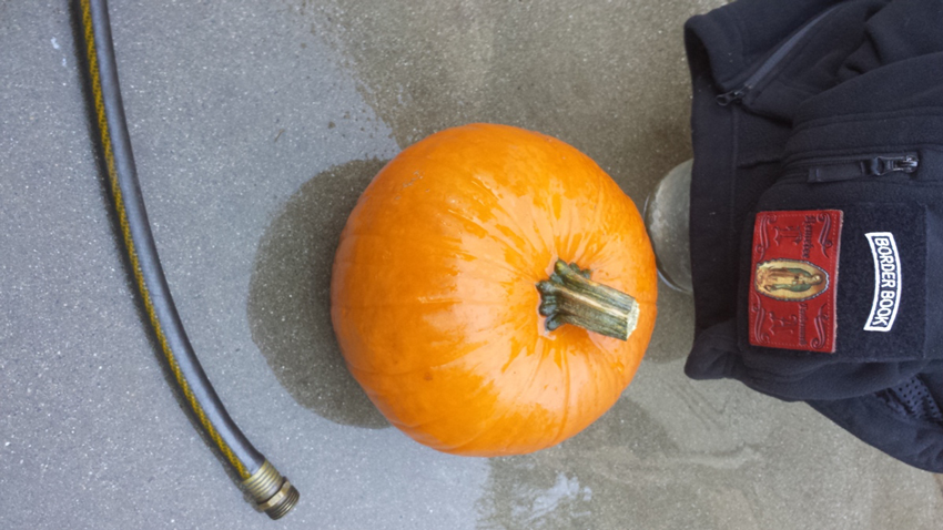 Border Book Pumpkin Submission