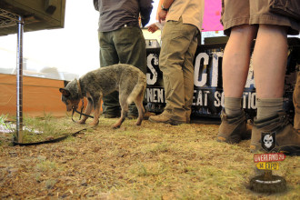 Overland Expo West 2014