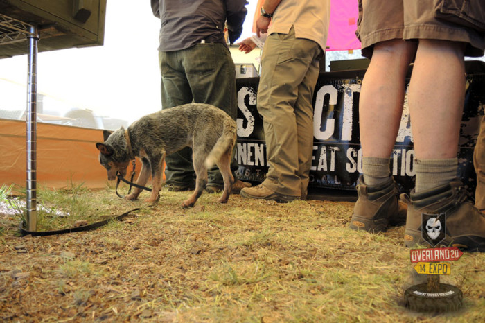 Overland Expo West 2014