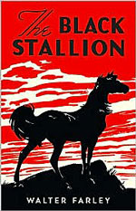 The Black Stallion