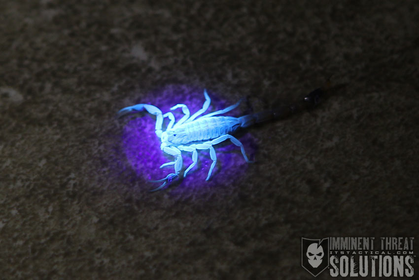 ITS UV Micro Light Scorpion
