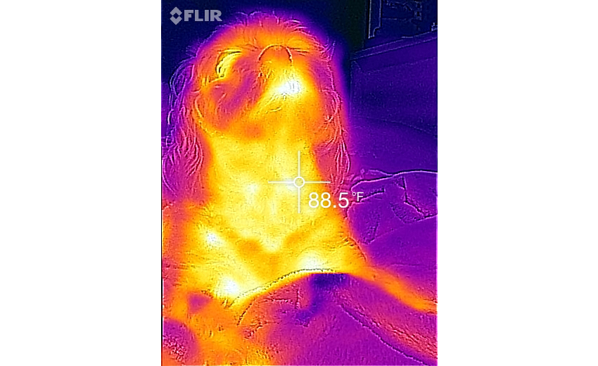 FLIR ONE