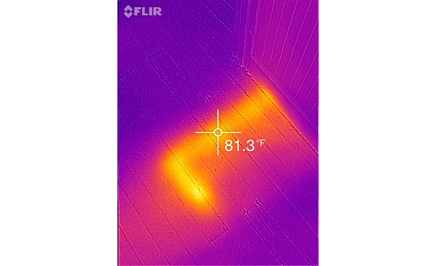 FLIR ONE