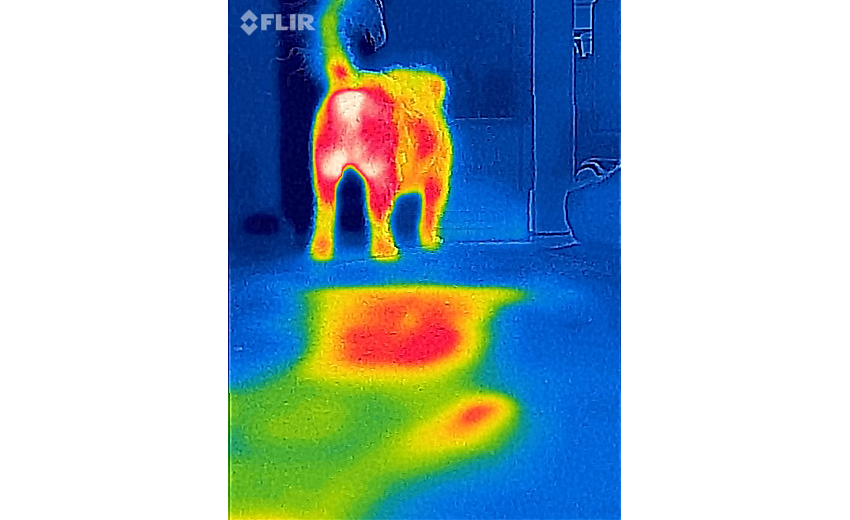 FLIR ONE