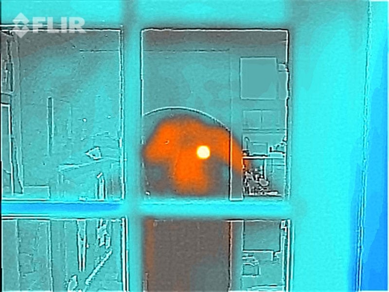 FLIR ONE