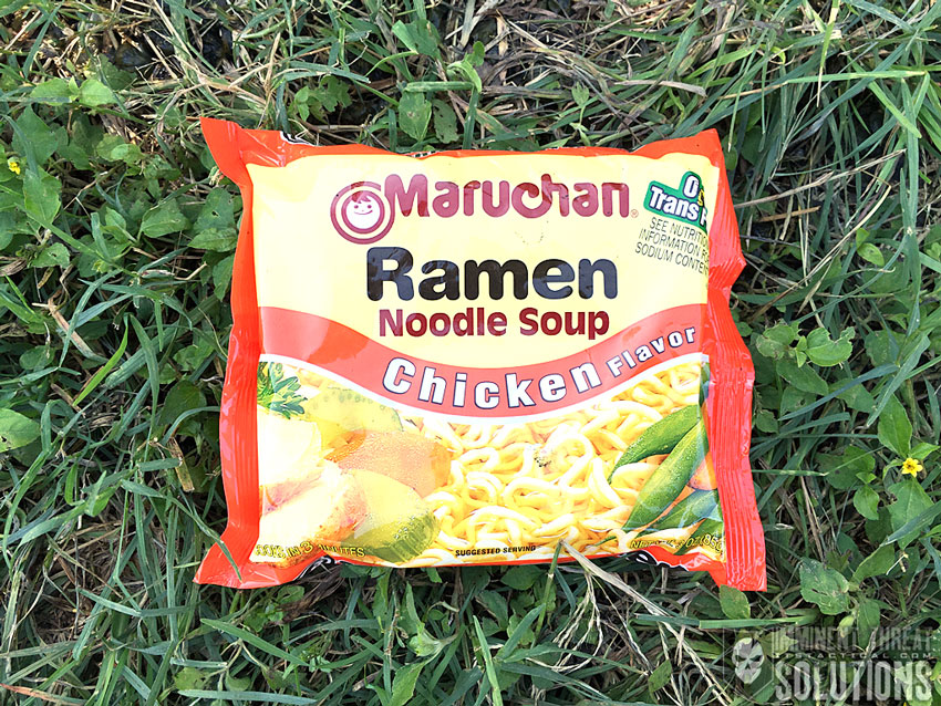 Ramen Noodles