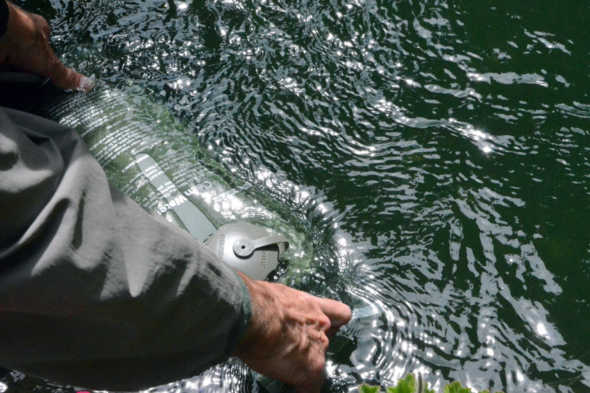 Urban Water Filtration