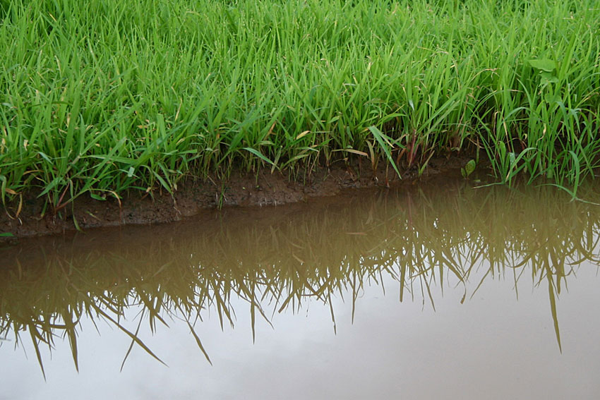 Urban Water Filtration