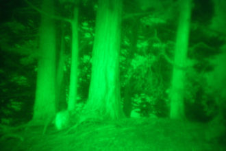 Night Vision Introduction