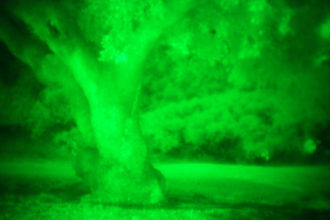 Night Vision Introduction