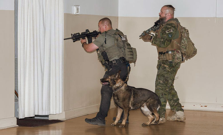 Tactical police k9 hot sale training