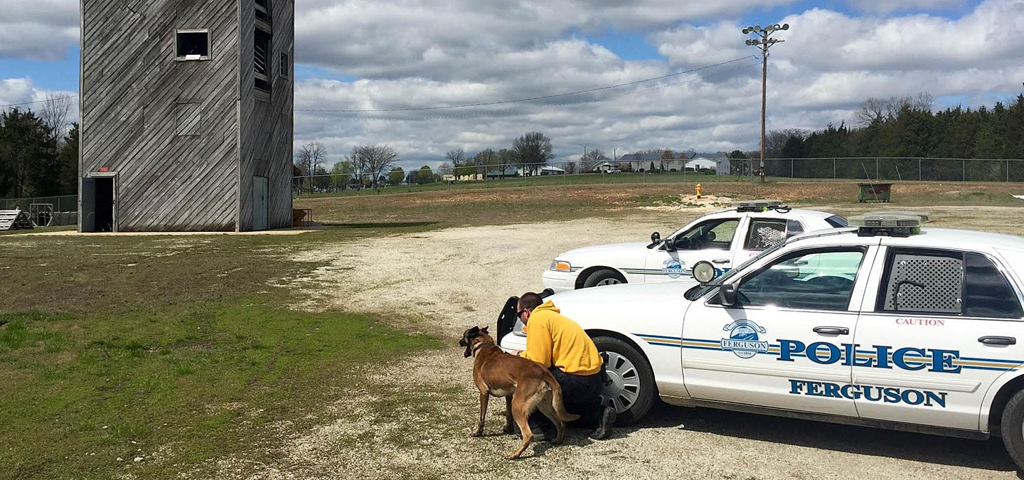 Ferguson Climbing Tower K9 Training