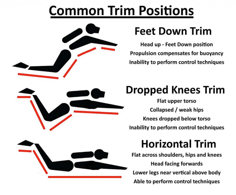 Diving Tips 03