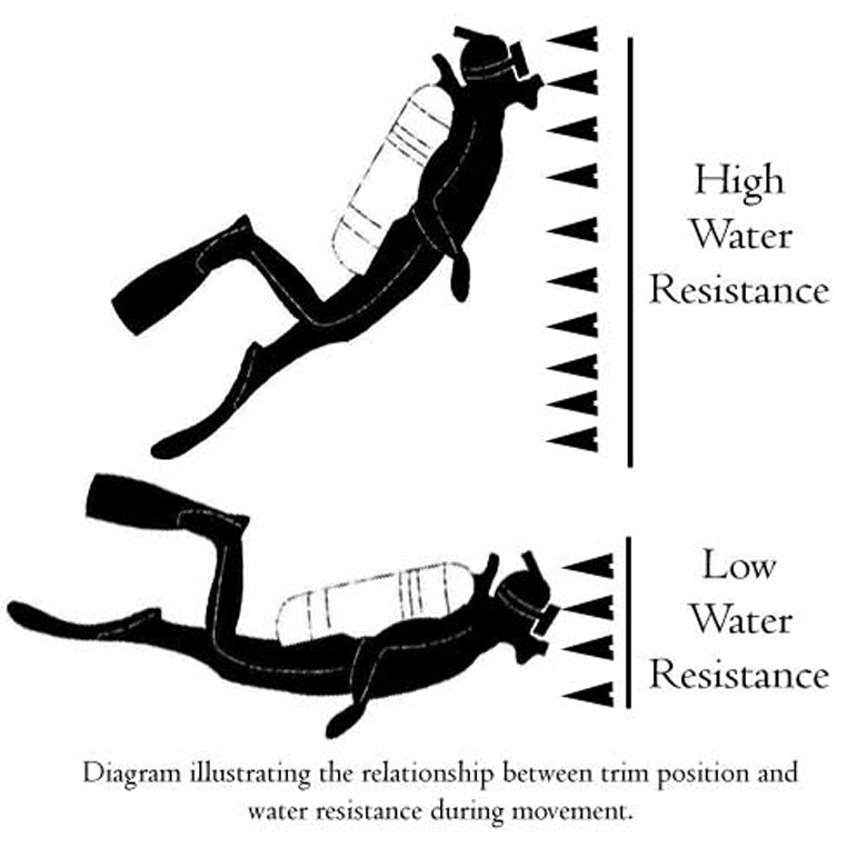 Diving Tips 04